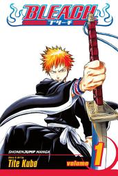Icon image Bleach: Strawberry and the Soul Reapers