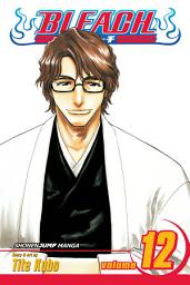 Icon image Bleach: Flower on the Precipice