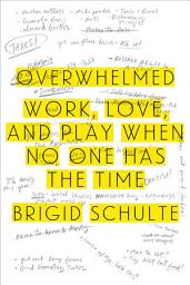 Icon image Overwhelmed: Work, Love, and Play When No One Has the Time