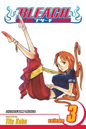 Icon image Bleach: Memories in the Rain
